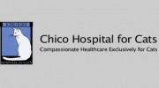 Chico Hospital For Cats - Deborah A Ullrich