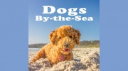 Dogs By The Sea