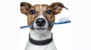 Chatfield Veterinary Hospital