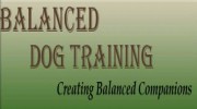 Balanced Dog Training & Grooming