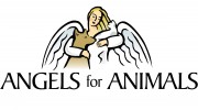 Angels For Animals