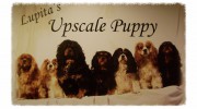 Upscale Puppy