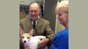 Springboro Veterinary Hospital - Gary G Beall