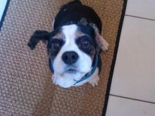 Kody
