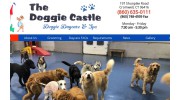 Doggie Castle