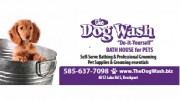 The Dog Wash