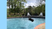 Splendor Farms