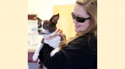 Willow Grove Animal Clinic - Susan Barrow