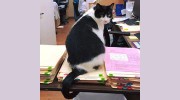 Brookside Animal Hospital