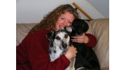 Pet Sitting and Equine Care
