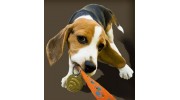 Michelle's Pet Services