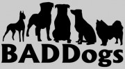 BADDogs