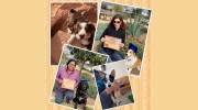 Wags Doggie Salon