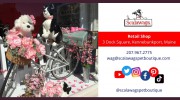 Scalawags Pet Boutique