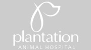 Plantation Animal Hospital