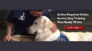 Companion Training