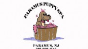 Paramus Puppy Spa