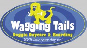 Wagging Tails Doggie Daycare & Boarding