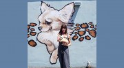 Joni's Pet Salon