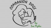 Companion Dog By Sue Myles