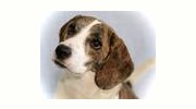 Northwoods Humane Societies