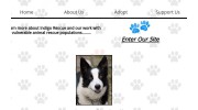 Indigo Rescue-Animal Rescue