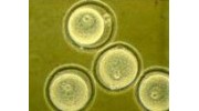 Biotechnology