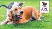 Animal Rescue League West