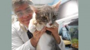 Pet Kennel & Pet Grooming