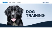 Bark Tutor