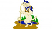 Camp Critter Country