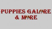 Puppies Galore & More