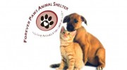 Forever Paws Animal Shelter