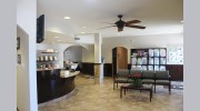 Brandt Veterinary Clinic
